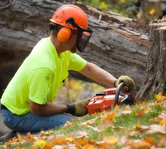 tree services Eldon